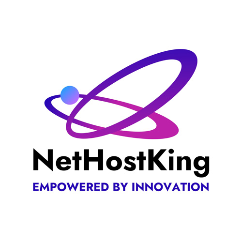 NetHostKing- Web Hosting Company